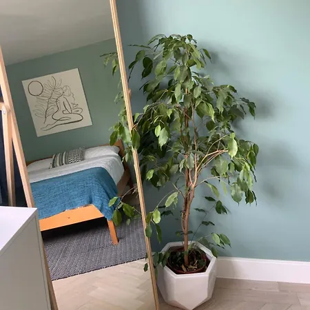 Little Chi Holiday home